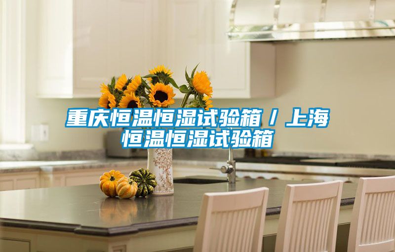 重慶恒溫恒濕試驗(yàn)箱/上海恒溫恒濕試驗(yàn)箱