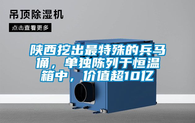 陜西挖出最特殊的兵馬俑，單獨陳列于恒溫箱中，價值超10億