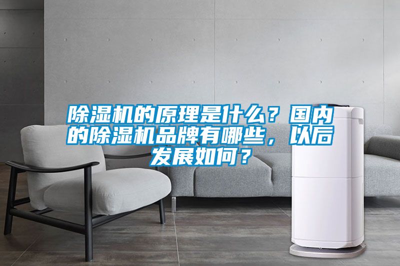 除濕機的原理是什么？國內的除濕機品牌有哪些，以后發(fā)展如何？