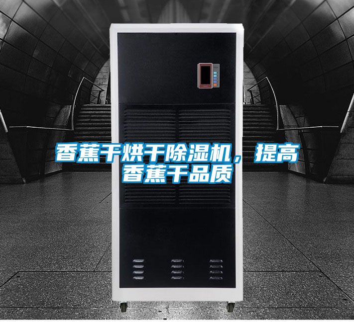 香蕉干烘干除濕機(jī)，提高香蕉干品質(zhì)