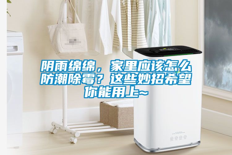 陰雨綿綿，家里應該怎么防潮除霉？這些妙招希望你能用上~