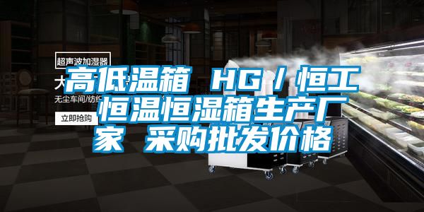 高低溫箱 HG／恒工 恒溫恒濕箱生產(chǎn)廠家 采購批發(fā)價格