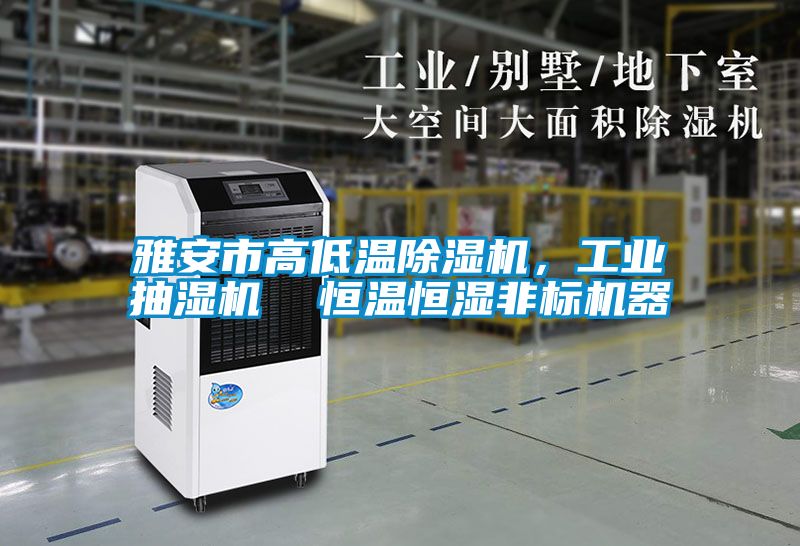 雅安市高低溫除濕機，工業(yè)抽濕機  恒溫恒濕非標機器
