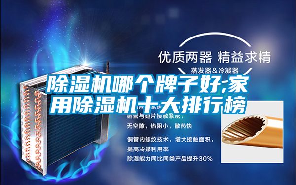 除濕機(jī)哪個(gè)牌子好,家用除濕機(jī)十大排行榜