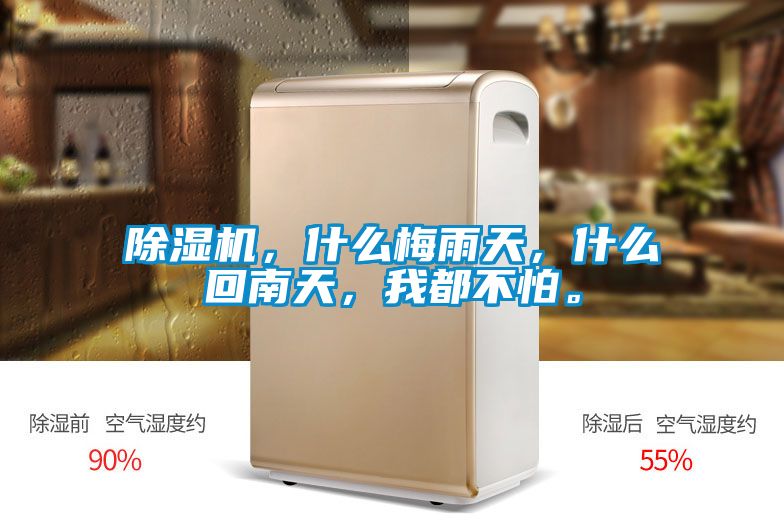 除濕機，什么梅雨天，什么回南天，我都不怕。