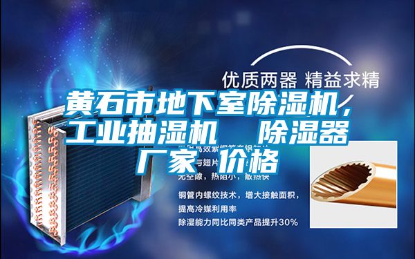 黃石市地下室除濕機(jī)，工業(yè)抽濕機(jī)  除濕器廠家 價(jià)格