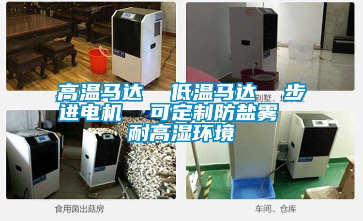 高溫馬達(dá) 低溫馬達(dá) 步進(jìn)電機(jī) 可定制防鹽霧 耐高濕環(huán)境