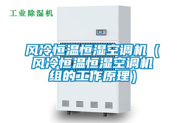 風(fēng)冷恒溫恒濕空調(diào)機(jī)(風(fēng)冷恒溫恒濕空調(diào)機(jī)組的工作原理)